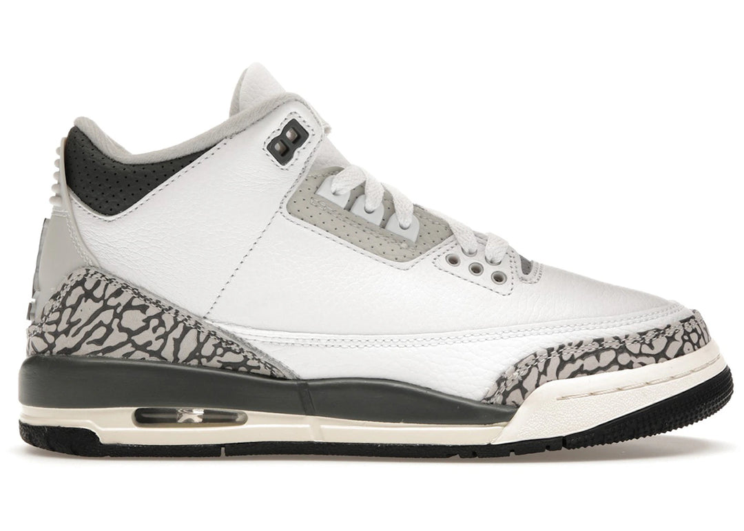 Jordan 3 Retro Hide N&